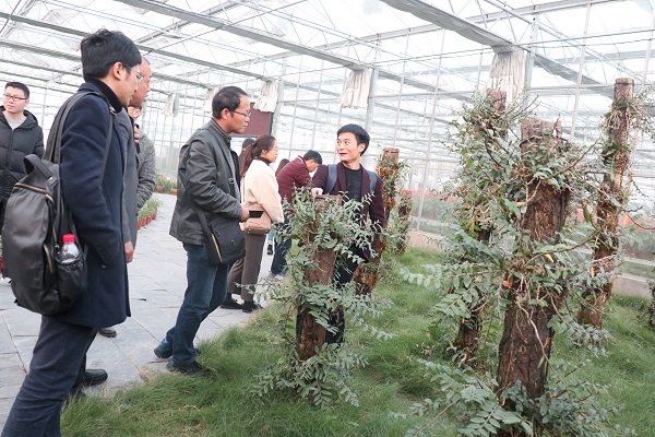 培训班参观CILICILI视频APP看片临浦基地