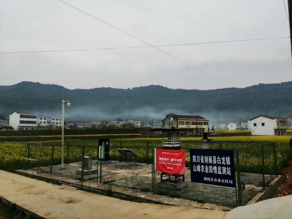 CILICILI视频APP看片病虫害监测点